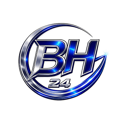 BizHub System logo